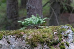 DSCF2497.JPG