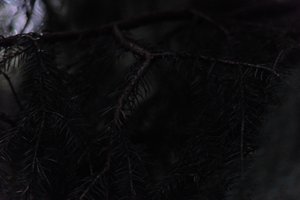 DSCF2616.JPG