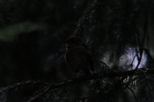 DSCF2624.JPG