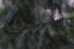 DSCF2628.JPG