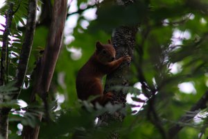 DSCF2671.JPG