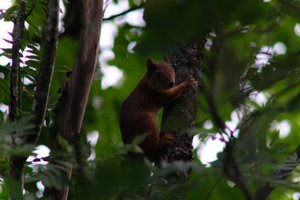 DSCF2674.JPG