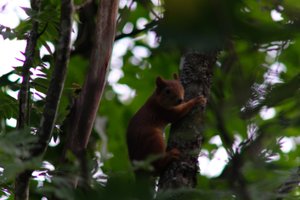 DSCF2679.JPG