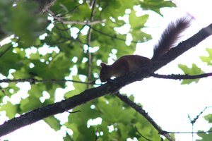 DSCF2682.JPG