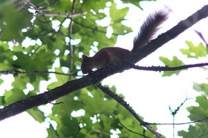 DSCF2684.JPG