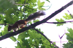 DSCF2689.JPG