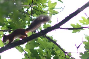 DSCF2690.JPG