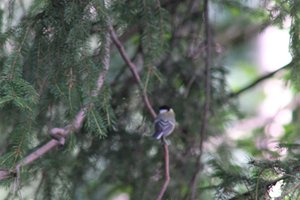 DSCF2702.JPG