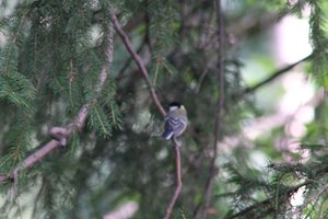 DSCF2703.JPG