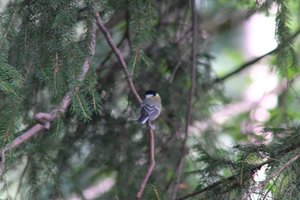 DSCF2704.JPG