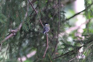 DSCF2707.JPG