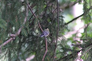 DSCF2712.JPG