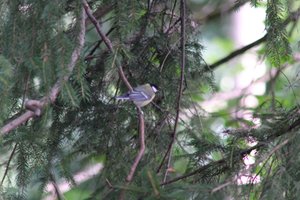 DSCF2714.JPG