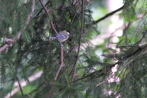 DSCF2715.JPG