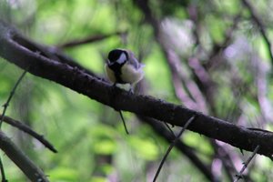 DSCF2717.JPG