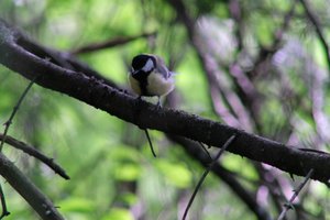 DSCF2719.JPG