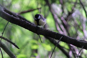 DSCF2720.JPG