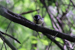 DSCF2722.JPG