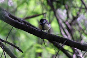 DSCF2724.JPG
