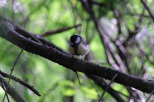 DSCF2725.JPG