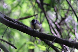 DSCF2728.JPG