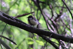 DSCF2741.JPG