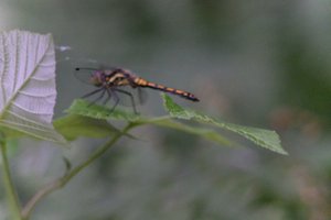 DSCF2820.JPG