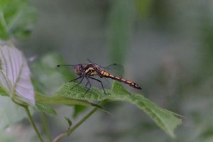DSCF2831.JPG