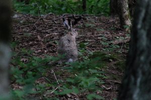 DSCF2841.JPG