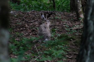 DSCF2843.JPG