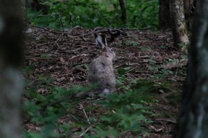 DSCF2844.JPG