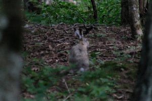 DSCF2850.JPG