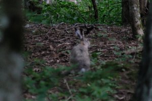 DSCF2851.JPG