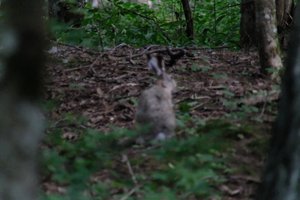 DSCF2852.JPG