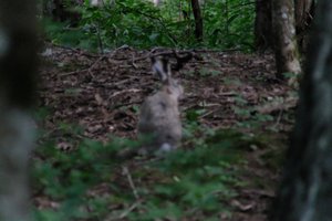 DSCF2853.JPG