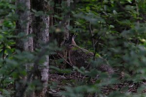 DSCF2859.JPG