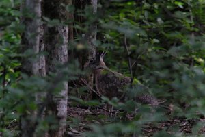 DSCF2860.JPG
