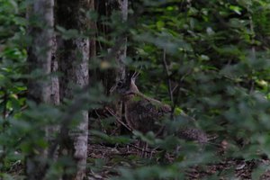 DSCF2861.JPG