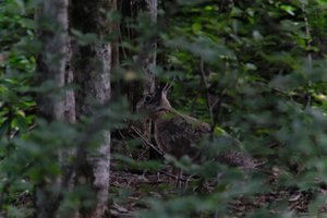 DSCF2863.JPG