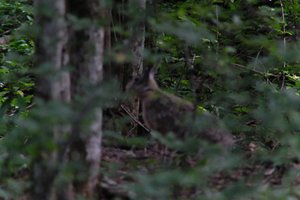 DSCF2871.JPG