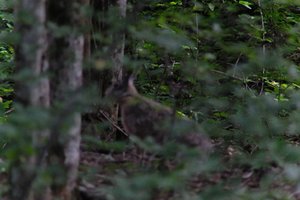 DSCF2874.JPG
