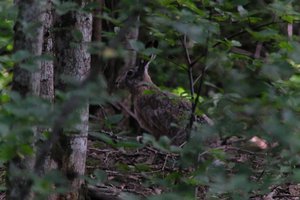 DSCF2881.JPG