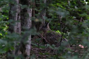 DSCF2887.JPG