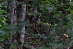 DSCF2890.JPG