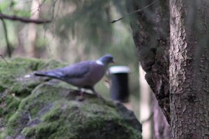 DSCF2898.JPG