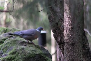 DSCF2901.JPG