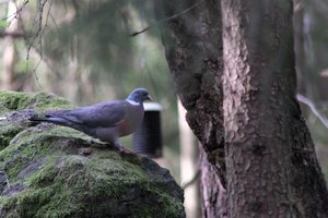 DSCF2903.JPG