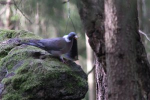 DSCF2908.JPG