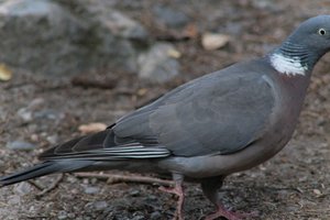 DSCF2958.JPG