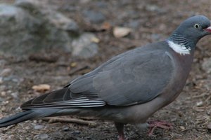 DSCF2959.JPG